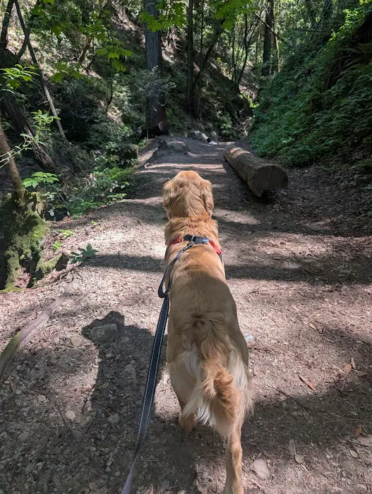 Benji's Shop Picture 2