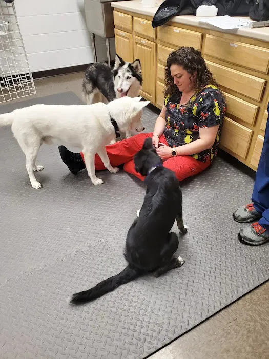 RAAM Mobile Veterinary Care Picture 8