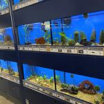 Petco