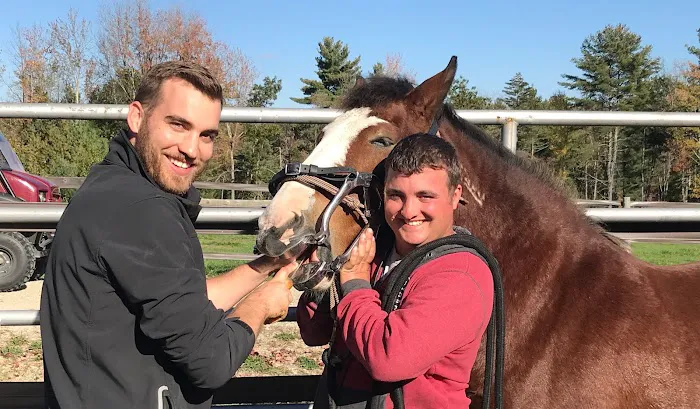 Kokal Farm Veterinary Services - Equine Dentistry, Equine Chiropractic and Lameness Services Picture 2