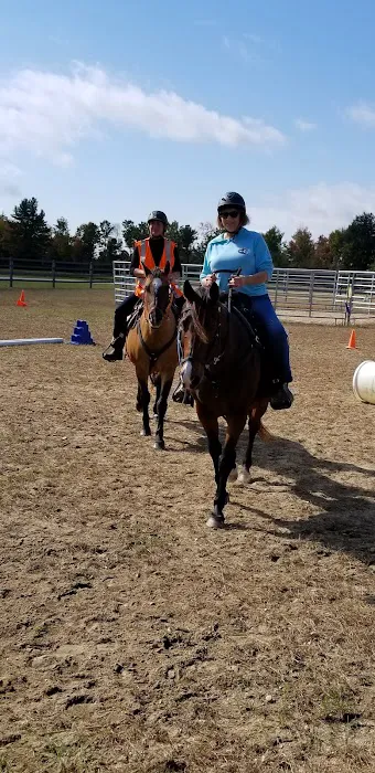 Kokal Farm Veterinary Services - Equine Dentistry, Equine Chiropractic and Lameness Services Picture 1