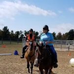 Kokal Farm Veterinary Services - Equine Dentistry, Equine Chiropractic and Lameness Services