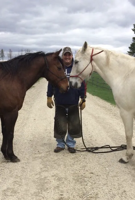 Kokal Farm Veterinary Services - Equine Dentistry, Equine Chiropractic and Lameness Services Picture 5