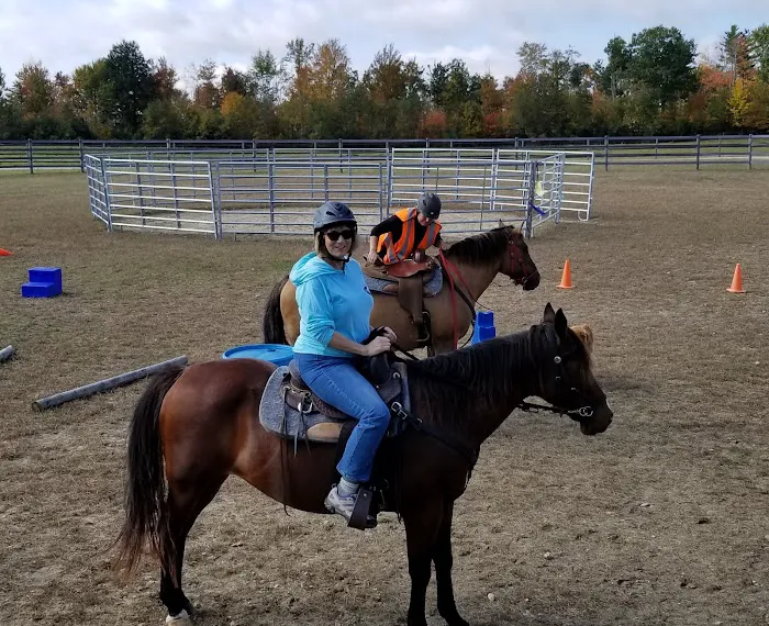 Kokal Farm Veterinary Services - Equine Dentistry, Equine Chiropractic and Lameness Services Picture 7