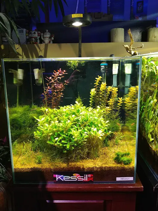 Neptune Aquatics Picture 1