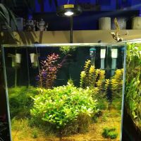 Neptune Aquatics ico