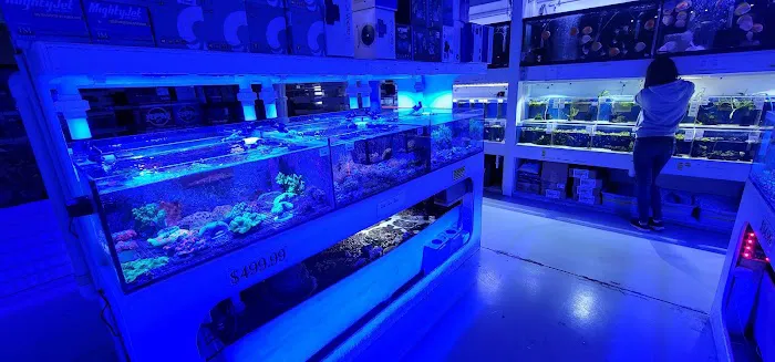 Neptune Aquatics Picture 6