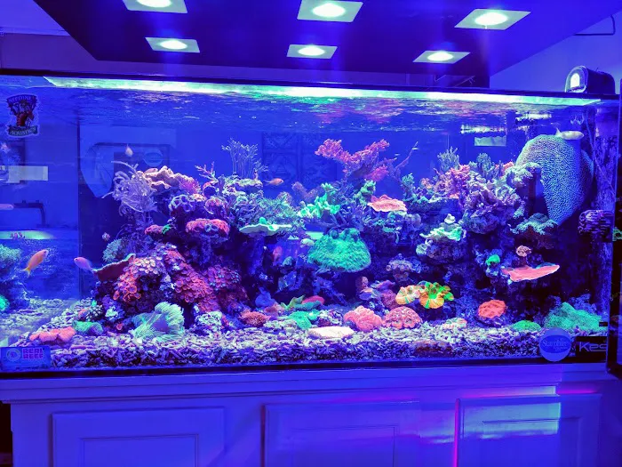 Neptune Aquatics Picture 5