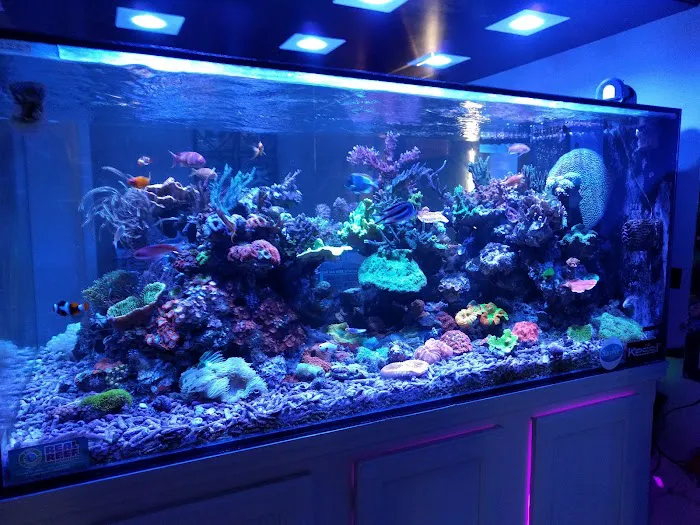 Neptune Aquatics Picture 7