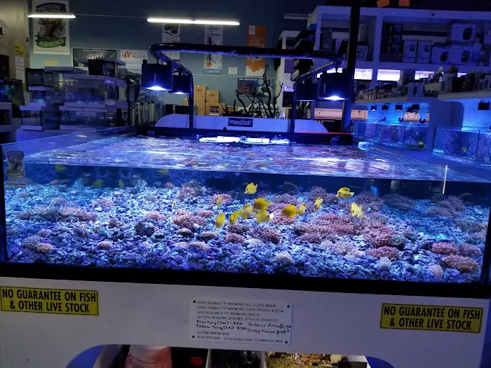 Neptune Aquatics Picture 8