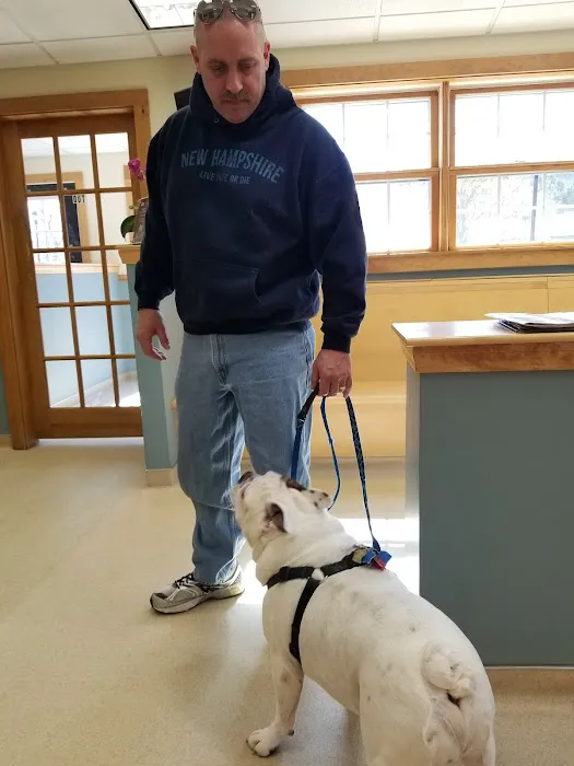 Wilton Animal Hospital Picture 2