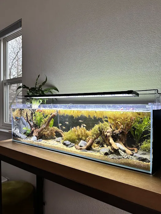 Aqua Lab Aquaria Picture 2