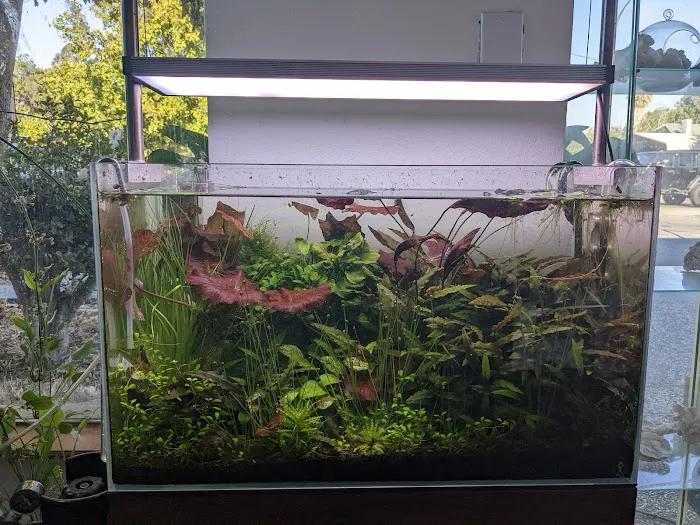Aqua Lab Aquaria Picture 6