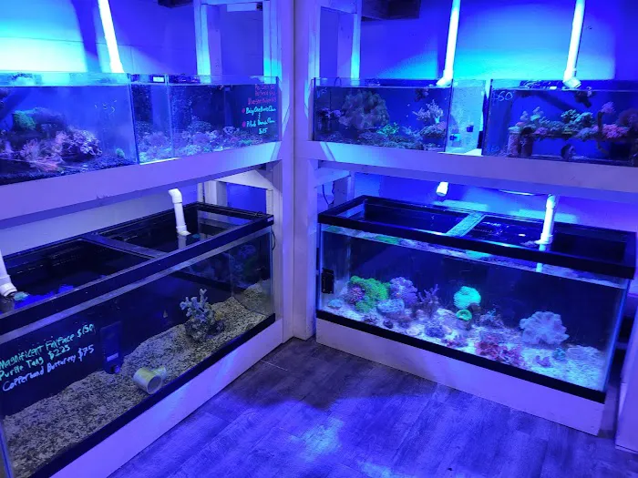 Aqua Lab Aquaria Picture 7