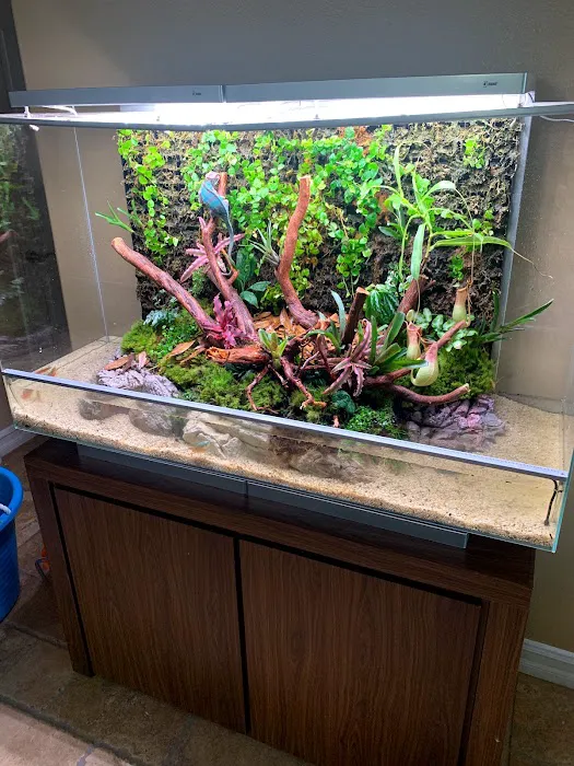 Aqua Lab Aquaria Picture 9