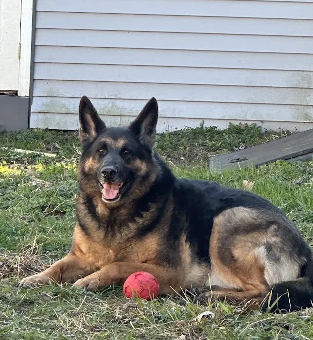 Park Place Veterinary Hospital Picture 3