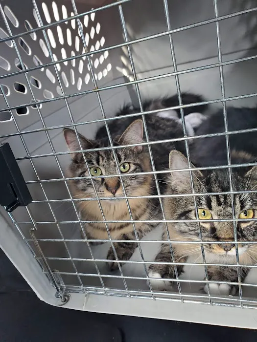 Park Place Veterinary Hospital Picture 1