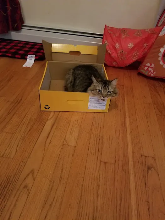 Park Place Veterinary Hospital Picture 2