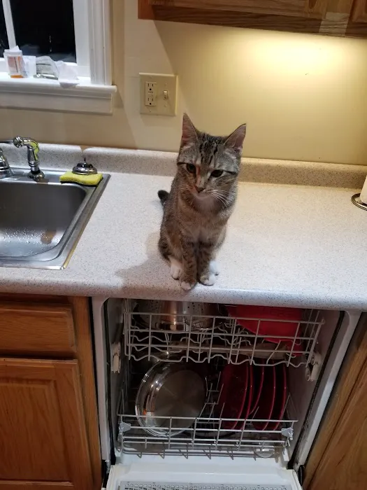 Park Place Veterinary Hospital Picture 6