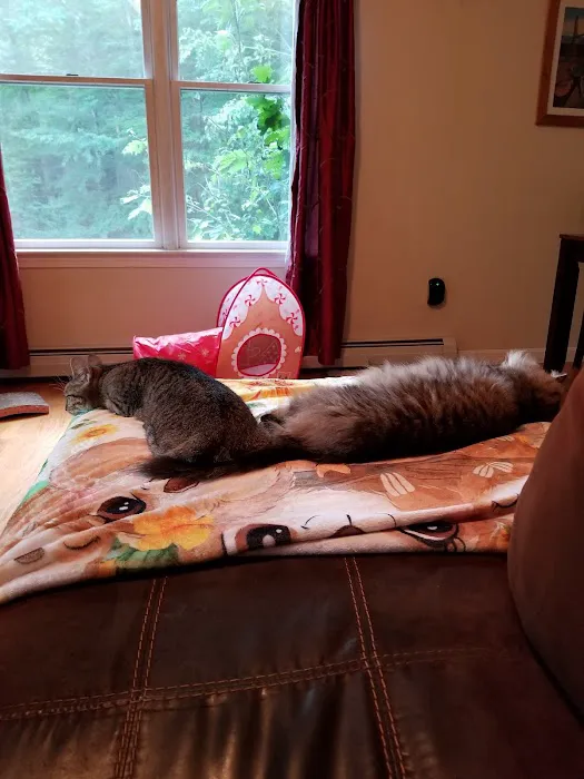 Park Place Veterinary Hospital Picture 4