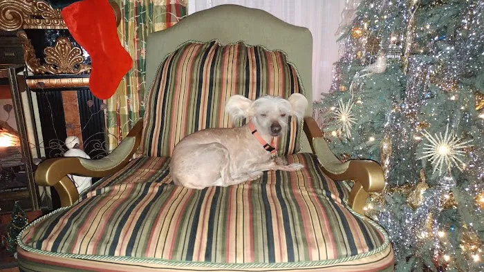 Park Place Veterinary Hospital Picture 9