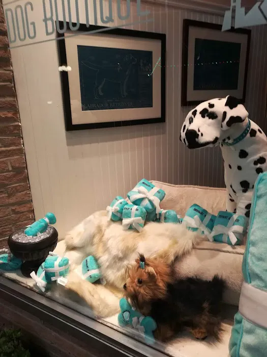 Gussied Up Dog Boutique Picture 1