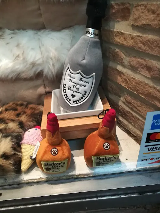 Gussied Up Dog Boutique Picture 4