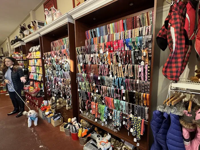 Gussied Up Dog Boutique Picture 6