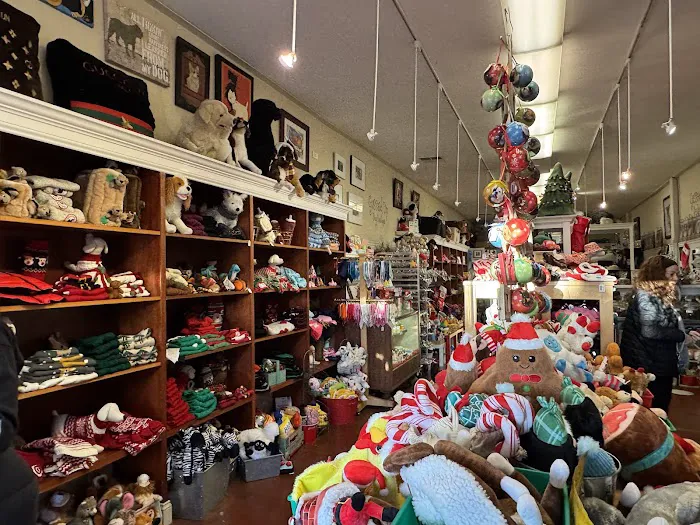 Gussied Up Dog Boutique Picture 3