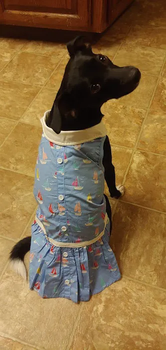 Gussied Up Dog Boutique Picture 8