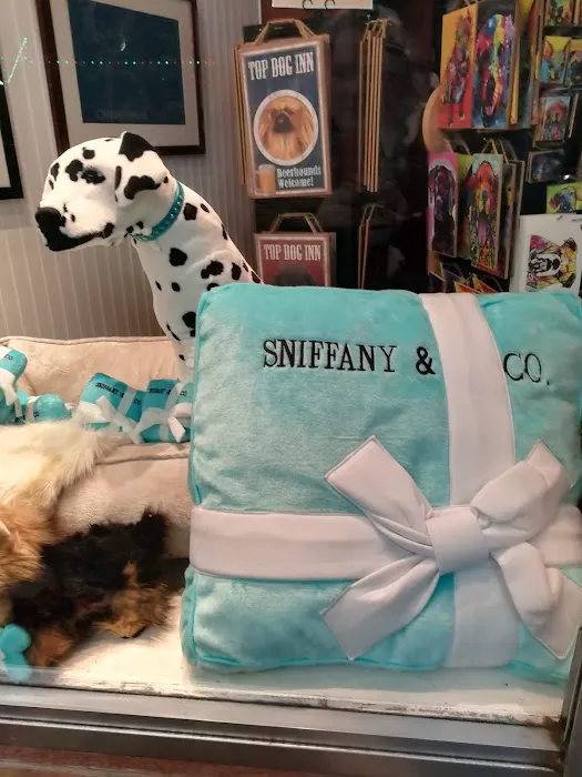 Gussied Up Dog Boutique Picture 7