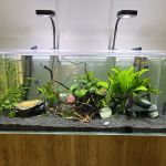 Muse Discus