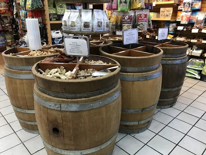 Bow Wow Meow Picture 6