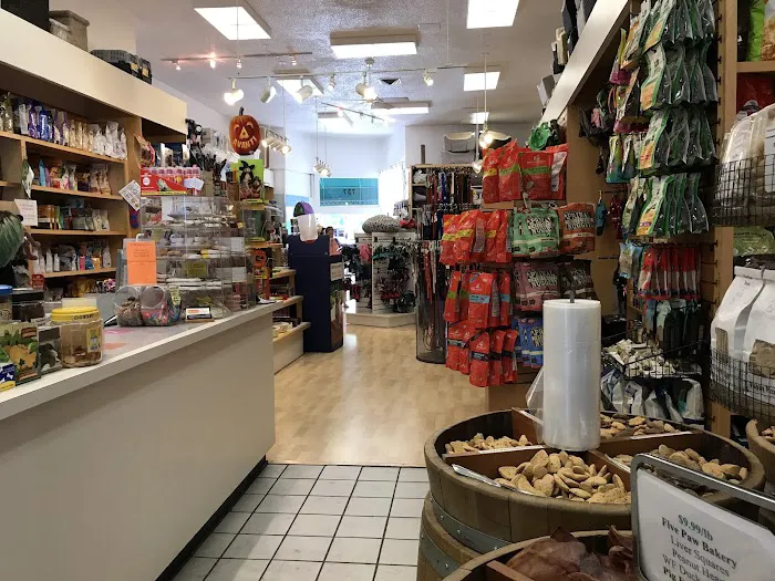 Bow Wow Meow Picture 4