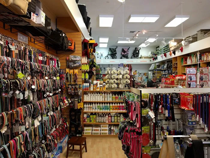 Bow Wow Meow Picture 2