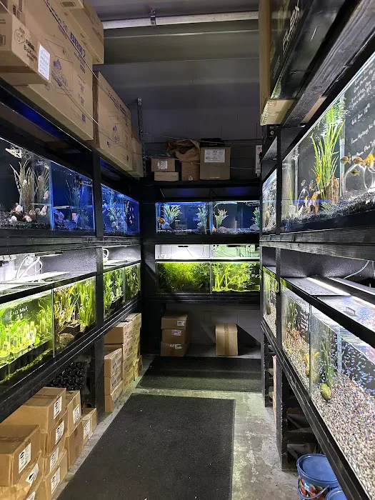 Ultimate Aquarium Inc Picture 3