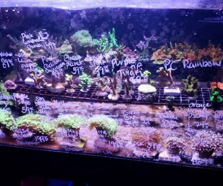Ultimate Aquarium Inc