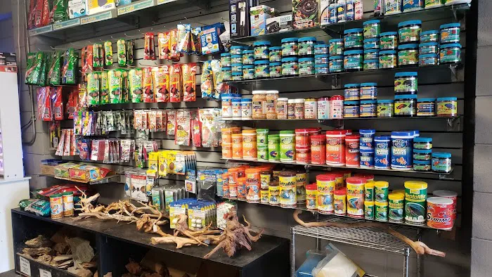 Ultimate Aquarium Inc Picture 6