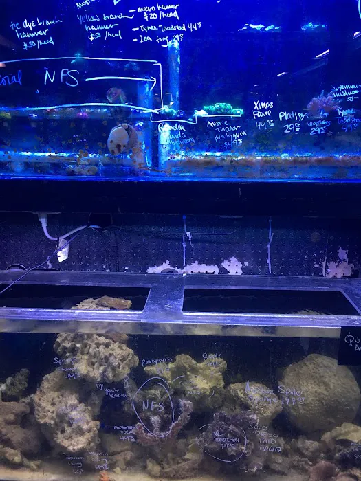 Ultimate Aquarium Inc Picture 9