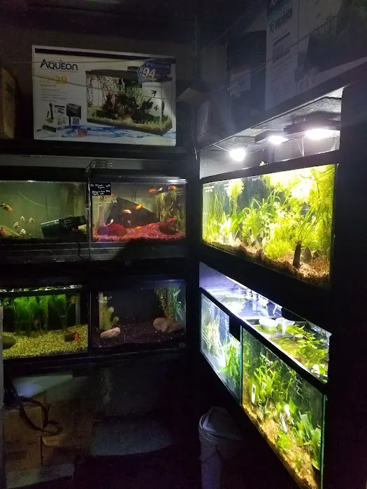 Ultimate Aquarium Inc Picture 10