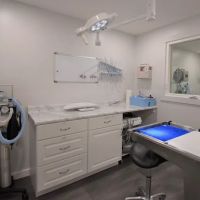 Court Street Veterinary Hospital ico