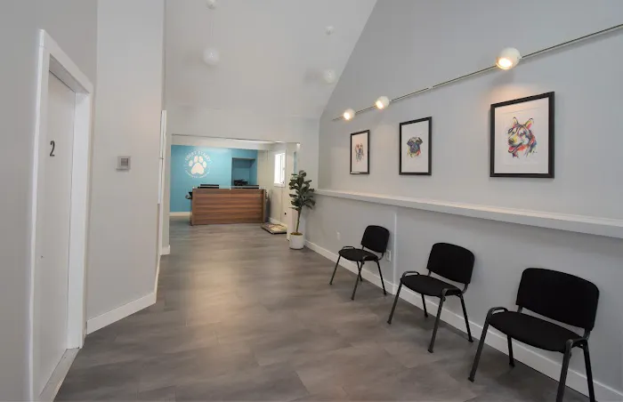 Court Street Veterinary Hospital Picture 6