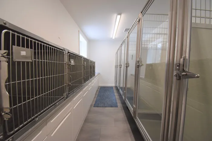 Court Street Veterinary Hospital Picture 4