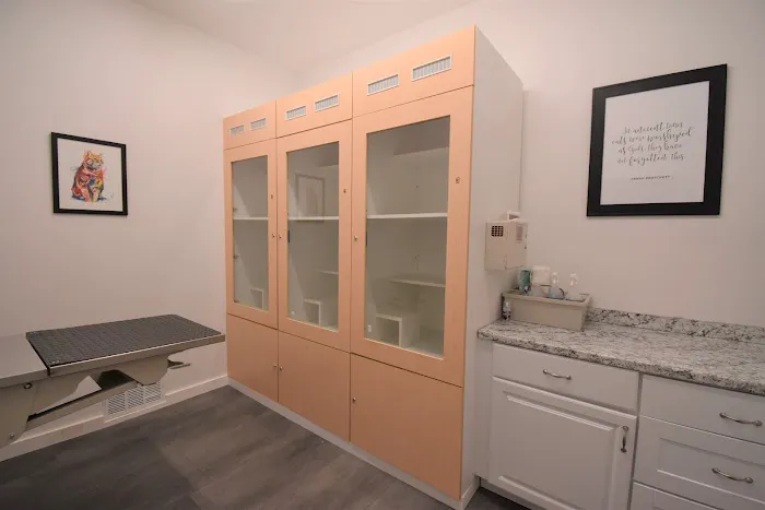 Court Street Veterinary Hospital Picture 9