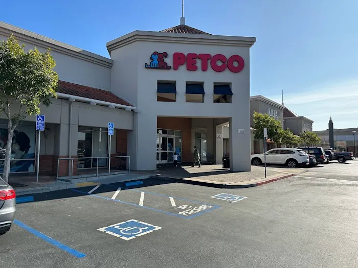 Petco Picture 7