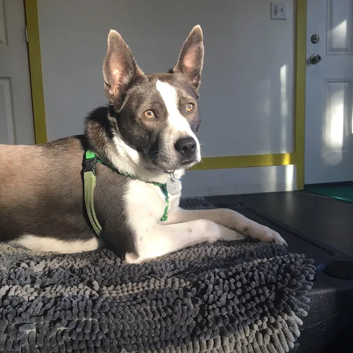 Milford Veterinary Hospital Picture 2