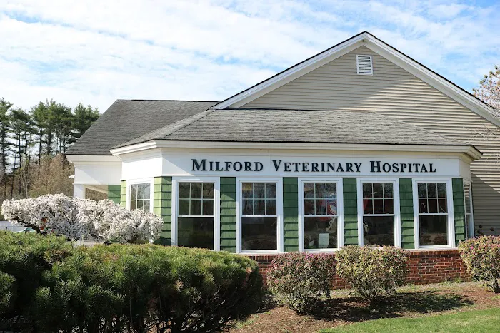 Milford Veterinary Hospital Picture 1