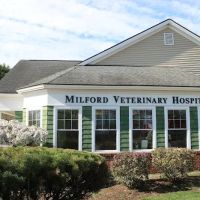 Milford Veterinary Hospital ico