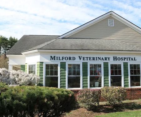 Milford Veterinary Hospital