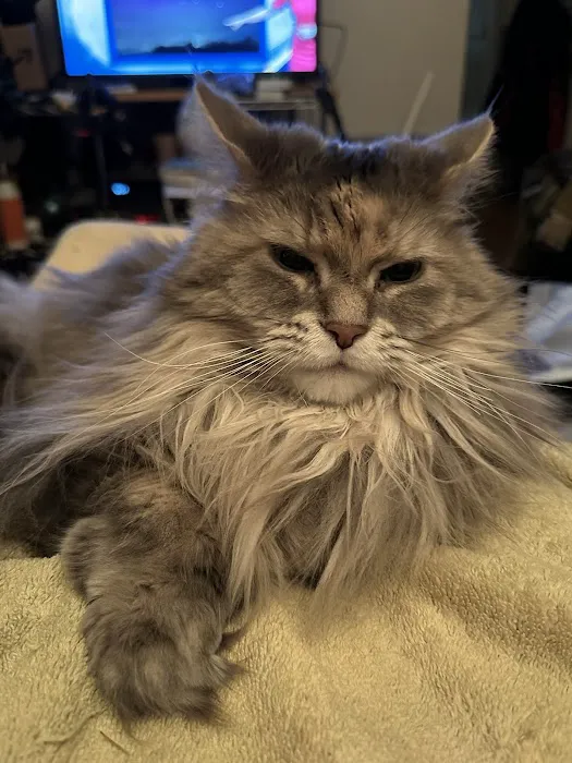 Milford Veterinary Hospital Picture 5